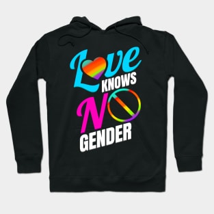 LGBTQ Love Knows No Gender Pride Month Hoodie